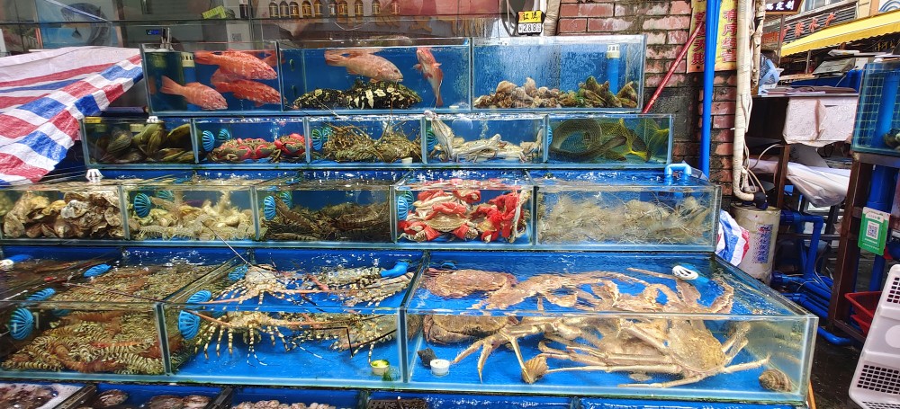 平靚正海鮮大量上市,專家解答:哪些水產(chǎn)品不宜吃?