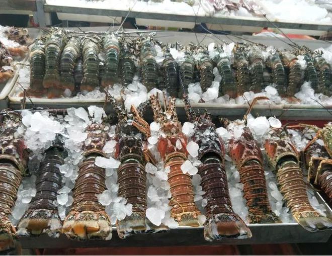 我國最適合&ldquo;養(yǎng)老&rdquo;城市,365天鳥語花香,海鮮簡直不要錢!