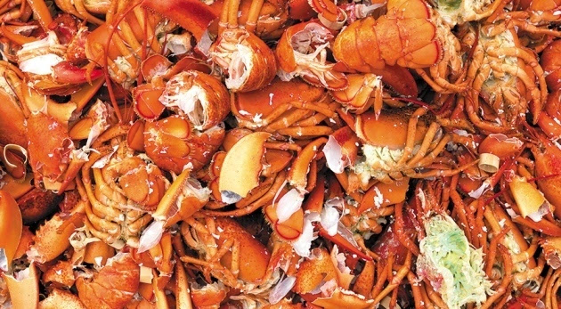 科學家認為蝦蟹殼作為可再生資源價值巨大