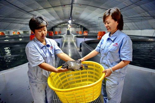 涉林下經濟 深遠海養殖等,大食物觀構建多元化供給體系