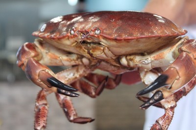 低至6.8折！徹底被啟東這家蒸汽海鮮店'蒸'服！