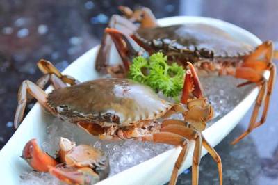198元龍蝦海鮮拼盤免費(fèi)送！品味鮮香，暢享海鮮火鍋盛宴